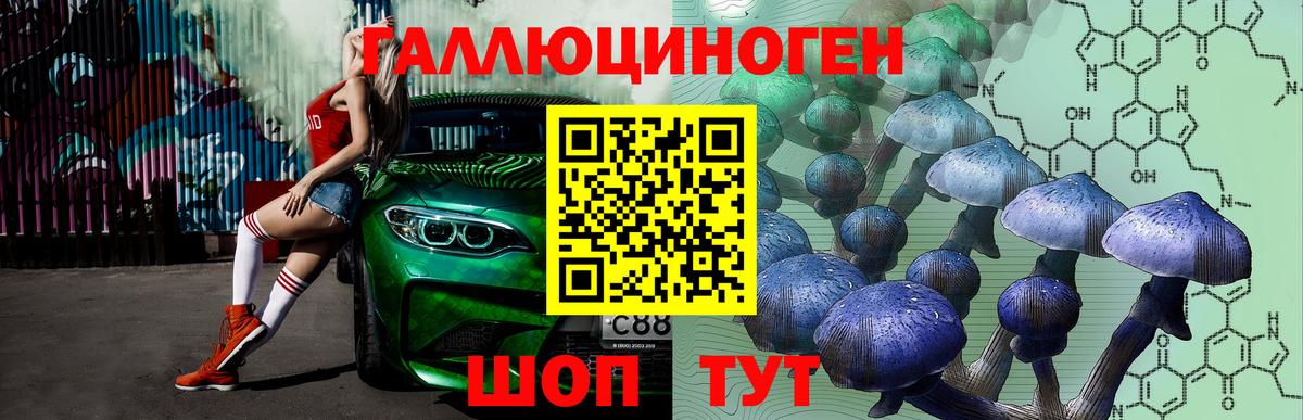Псилоцибиновые грибы MAGIC MUSHROOMS  Вход с VPN  Хабаровск  Псилоцибиновые грибы Magic Shrooms 