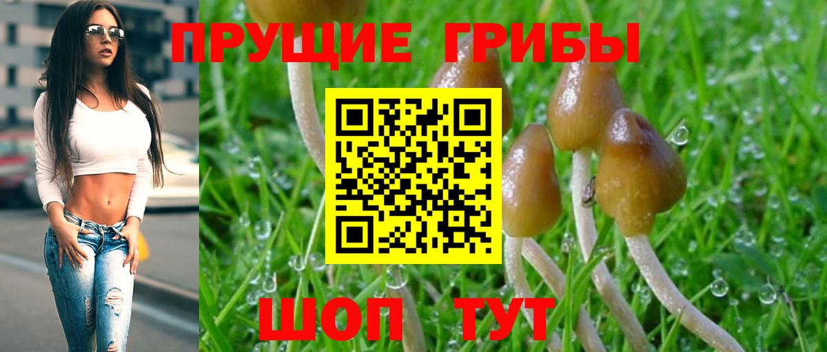 Галлюциногенные грибы Cubensis Хабаровск